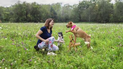 Trickdogging: Wie man Hunden einen Superman-Umhang verleiht
