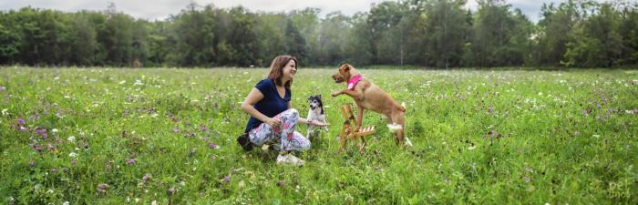Trickdogging: Wie man Hunden einen Superman-Umhang verleiht