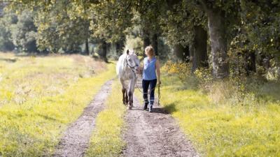 Das Haustier als Herausforderung: So kommst du besser durch Tierkrisen