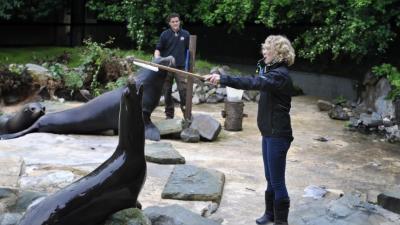 Hinter den Kulissen: Tiertrainerin Wibke Hagemann über ihre Arbeit im Zoo