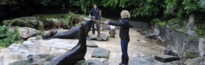 Hinter den Kulissen: Tiertrainerin Wibke Hagemann über ihre Arbeit im Zoo