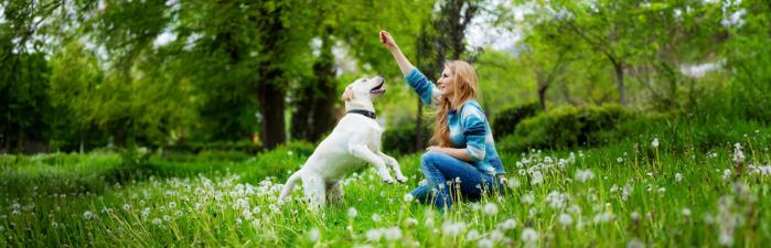 So stärkst du die Bindung zwischen dir und deinem Hund