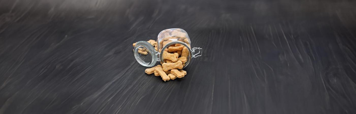 Ein Fest für Fellnasen: Selbst gebackene Weihnachtskekse für deinen Hund