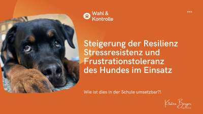 Schulungen Online & in Präsenz für Weiterbildungen