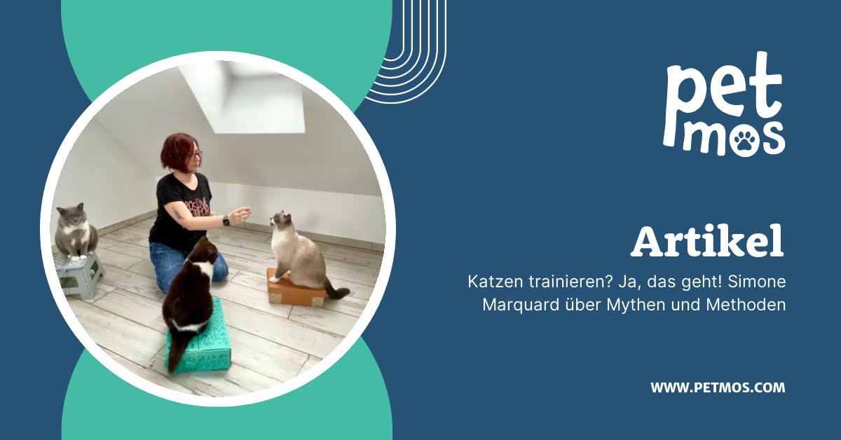 Katzen trainieren? Ja, das geht! Simone Marquard über Mythen und ...