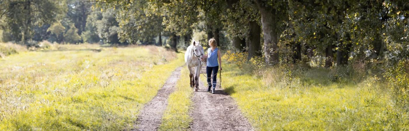 Das Haustier als Herausforderung: So kommst du besser durch Tierkrisen