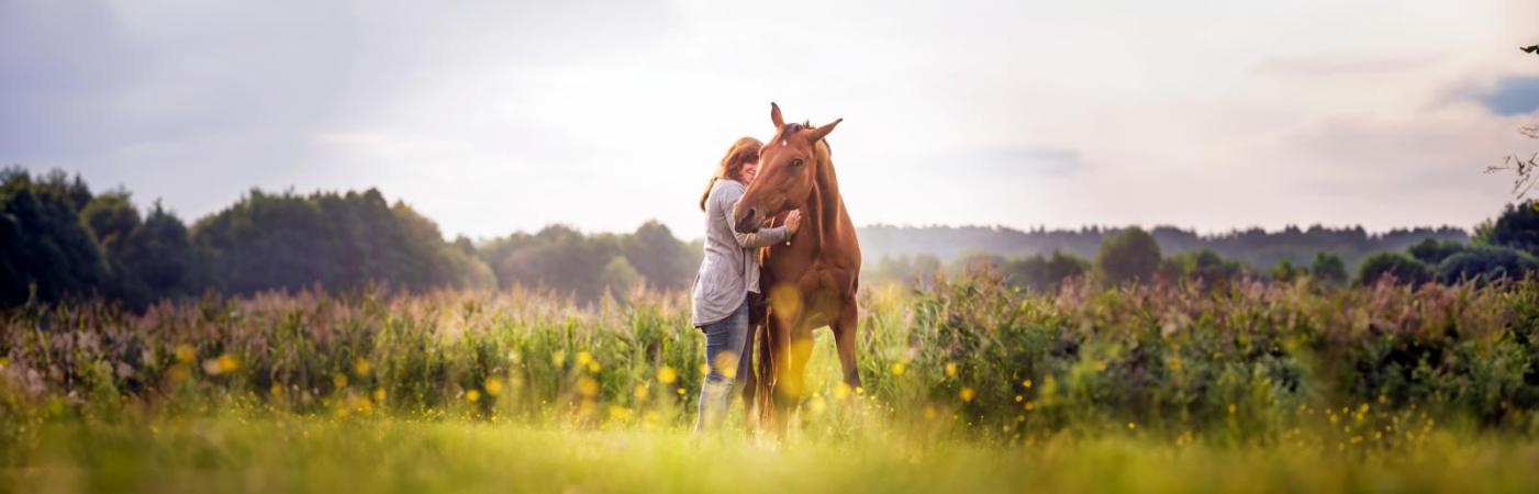 Dialog statt Diktat: So geht Kooperation und Mitbestimmung im Tieralltag