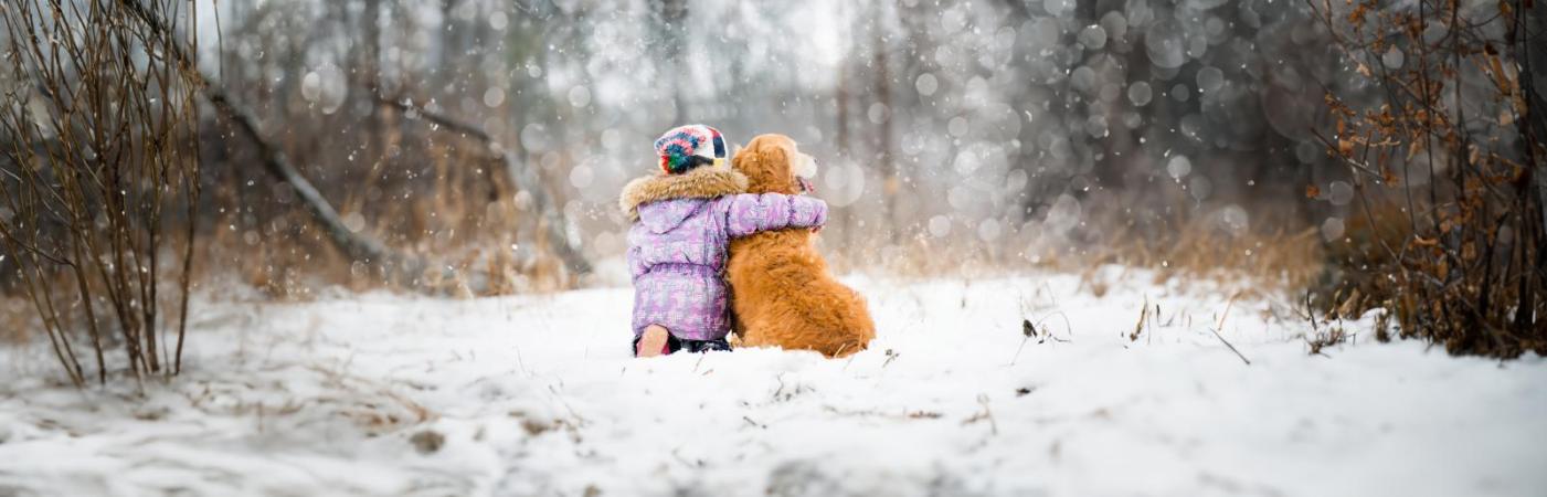 Warum Tierheime vor Weihnachten einen Vermittlungsstopp haben