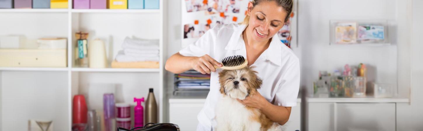 Selbstständig und glücklich: Finde ein Tierbusiness, das zu dir passt