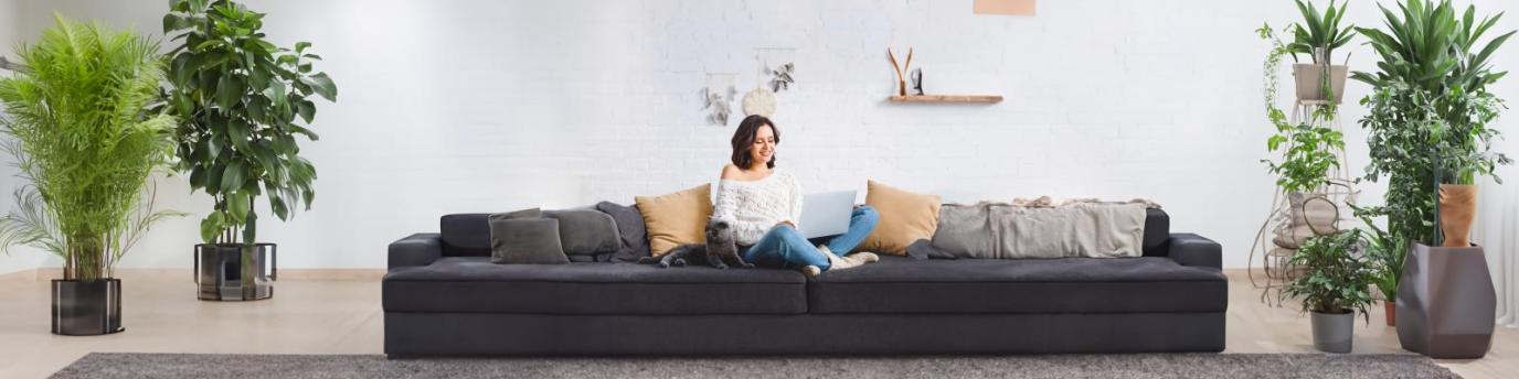 Bloggen im Tierbusiness: 9 einfache Content-Ideen für Tierdienstleister