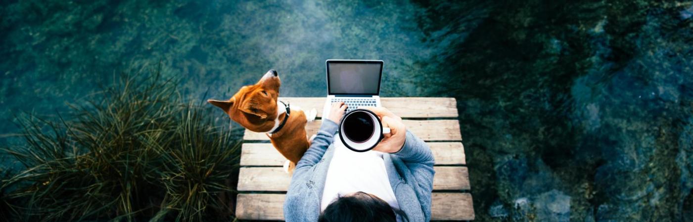 Dein Start ins Tierbusiness: 7 Fragen, die du dir vorher stellen solltest