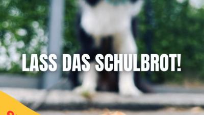 Lass das Schulbrot! – Anti-Giftköder-Selbstlernkurs für Hunde und ihre Bezugspersonen