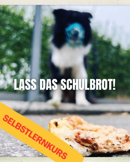 Lass das Schulbrot! – Anti-Giftköder-Selbstlernkurs für Hunde und ihre Bezugspersonen