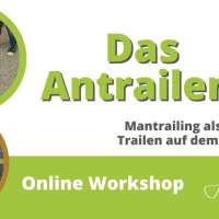 Das Antrailen