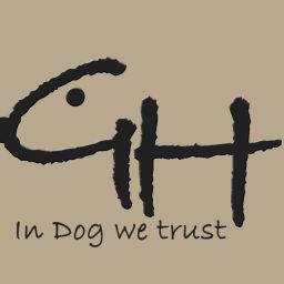 Hundeschule Gehorsamer Hund