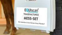 Tragehaltungsmessung für Pferde