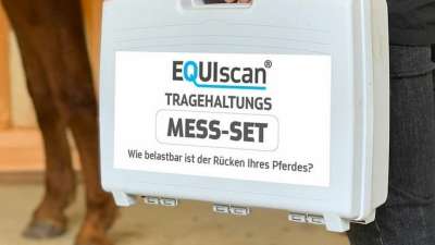 Tragehaltungsmessung für Pferde