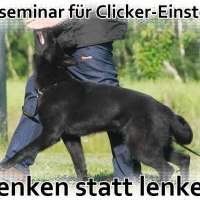 Basisseminare für Clickeranfänger