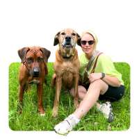 Wolf's Instinkte - Deine Hundeschule