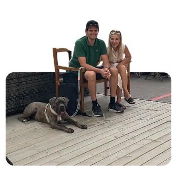 Hunde-Basiskurs
