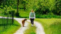 Hundeverhaltenstherapie & Beratung