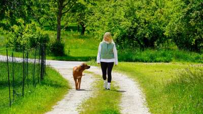 Hundeverhaltenstherapie & Beratung