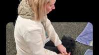 Hundeinternat