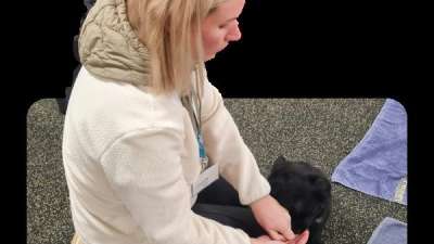 Hundeinternat