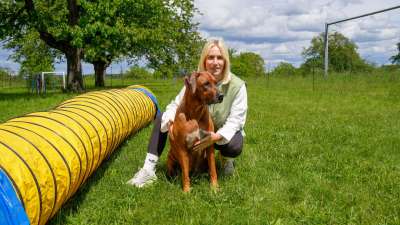 Individuelles Hundetraining