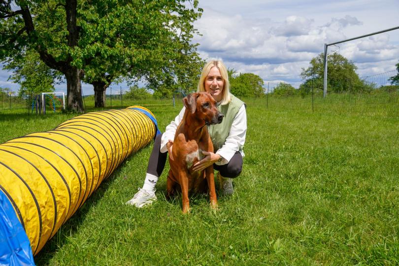 Individuelles Hundetraining
