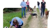 Social Walks