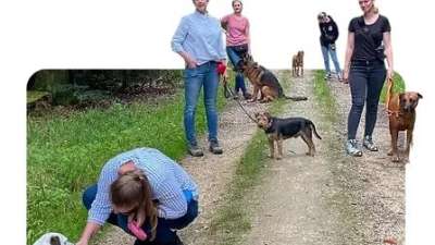 Social Walks