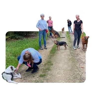 Social Walks