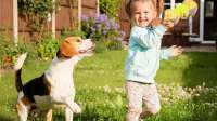 Kinderkurs mit Trainerhund