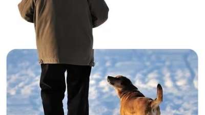 Freilauftraining mit System
