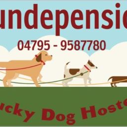 Hundepension LUCKY DOG HOSTEL
