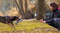 Begleitung Tierschutzhund