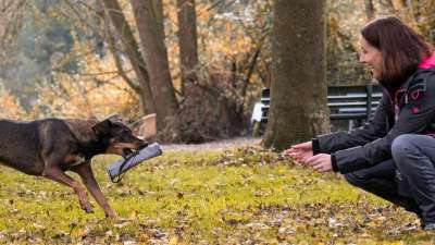 Einzeltraining