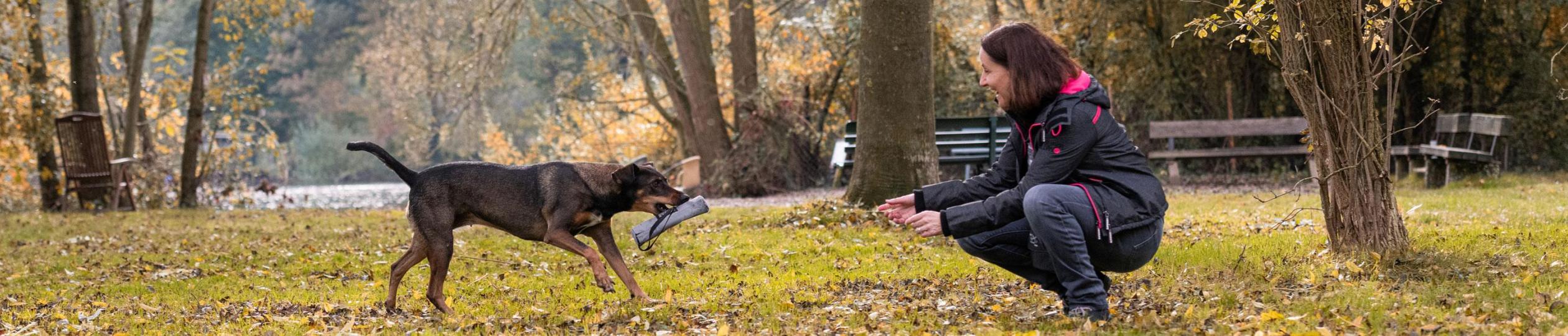 Einzeltraining