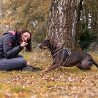Begegnungstraining (nicht nur) für Leinenpöbler!