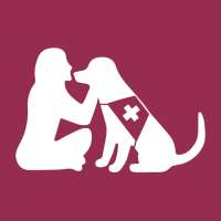 Mein Heldenhund