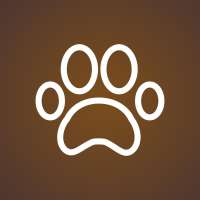 Hundefriseur Bonn