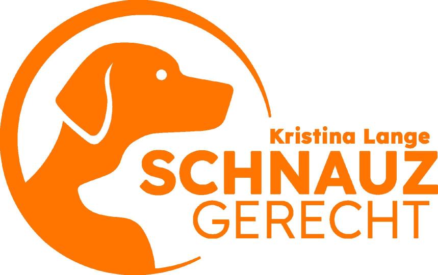 Online-Coaching