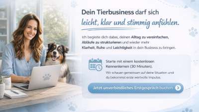 Strategie & Struktur für dein Tierbusiness