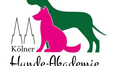 Prüfungsvorbereitung für Hundetrainer