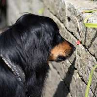 Meine Angebote für Sie