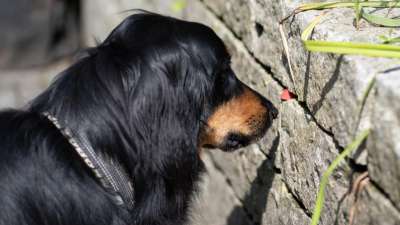 Meine Angebote für Sie