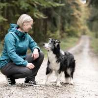 Verhaltenstraining & Beratung