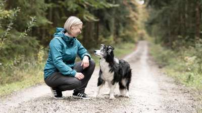 Verhaltenstraining & Beratung