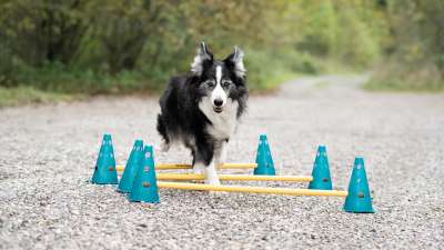 Individuelle Beschäftigung